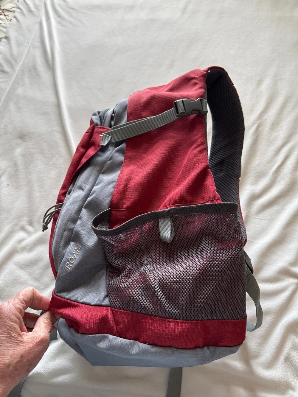 Kelty Roam back pack